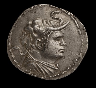 Moneta indo-greca (argento) da Greek